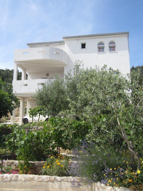 Apartments Rosa Preko Dış mekan fotoğraf
