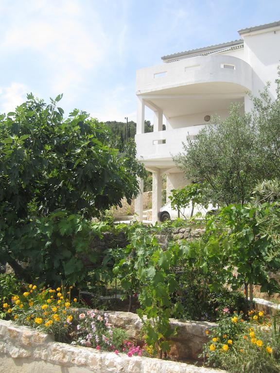 Apartments Rosa Preko Dış mekan fotoğraf