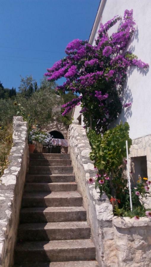 Apartments Rosa Preko Dış mekan fotoğraf